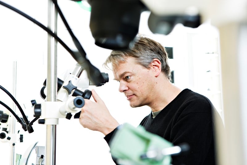 Edvard Moser, Nobelprisvinner i medisin, professor i nevrovitenskap og hjerneforsker