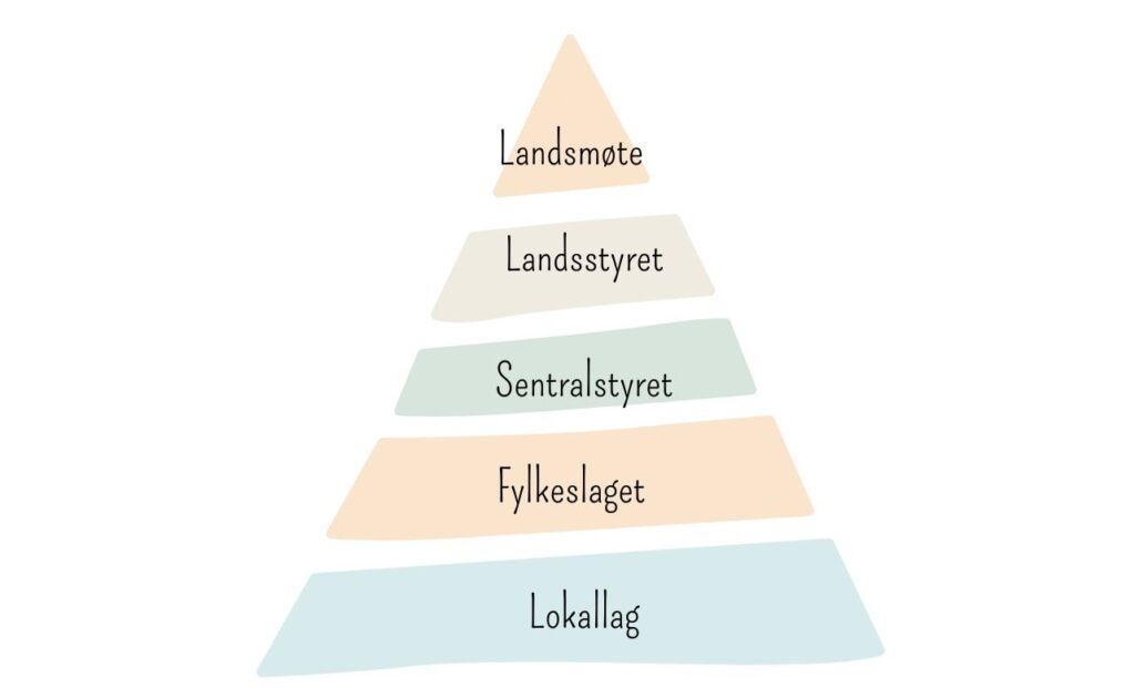 Organisasjonskart som viser hvordan lokallag, fylkeslaget, sentralstyret, landstyret og landsmøte henger sammen