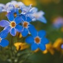 bilde av blomst