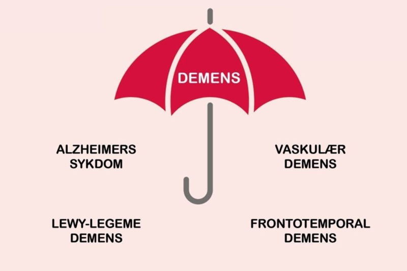 Illustrasjon av en paraply som viser at demens er mer enn bare én sykdom.